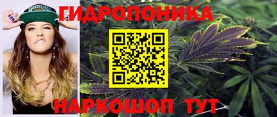 кокс Новодвинск