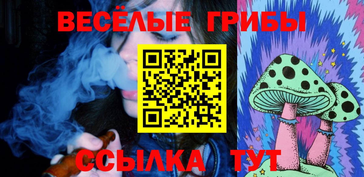 Псилоцибиновые грибы Cubensis Торжок