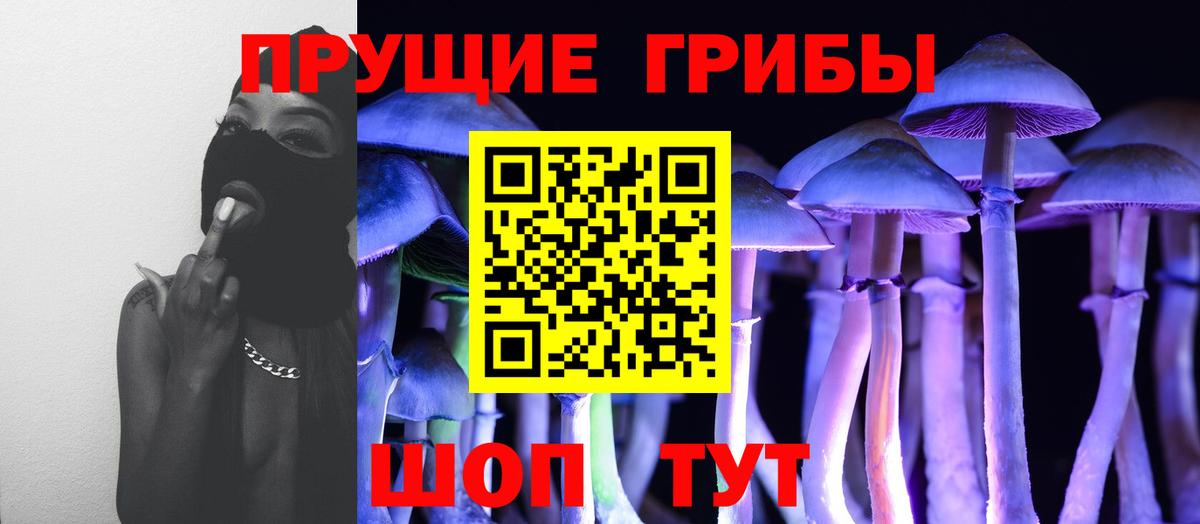 даркнет сайт  Галлюциногенные грибы мицелий  Вход с VPN  Торжок 